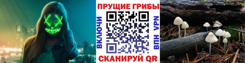 маркетплейс как зайти  hydra   Кондопога  Псилоцибиновые грибы Magic Shrooms 